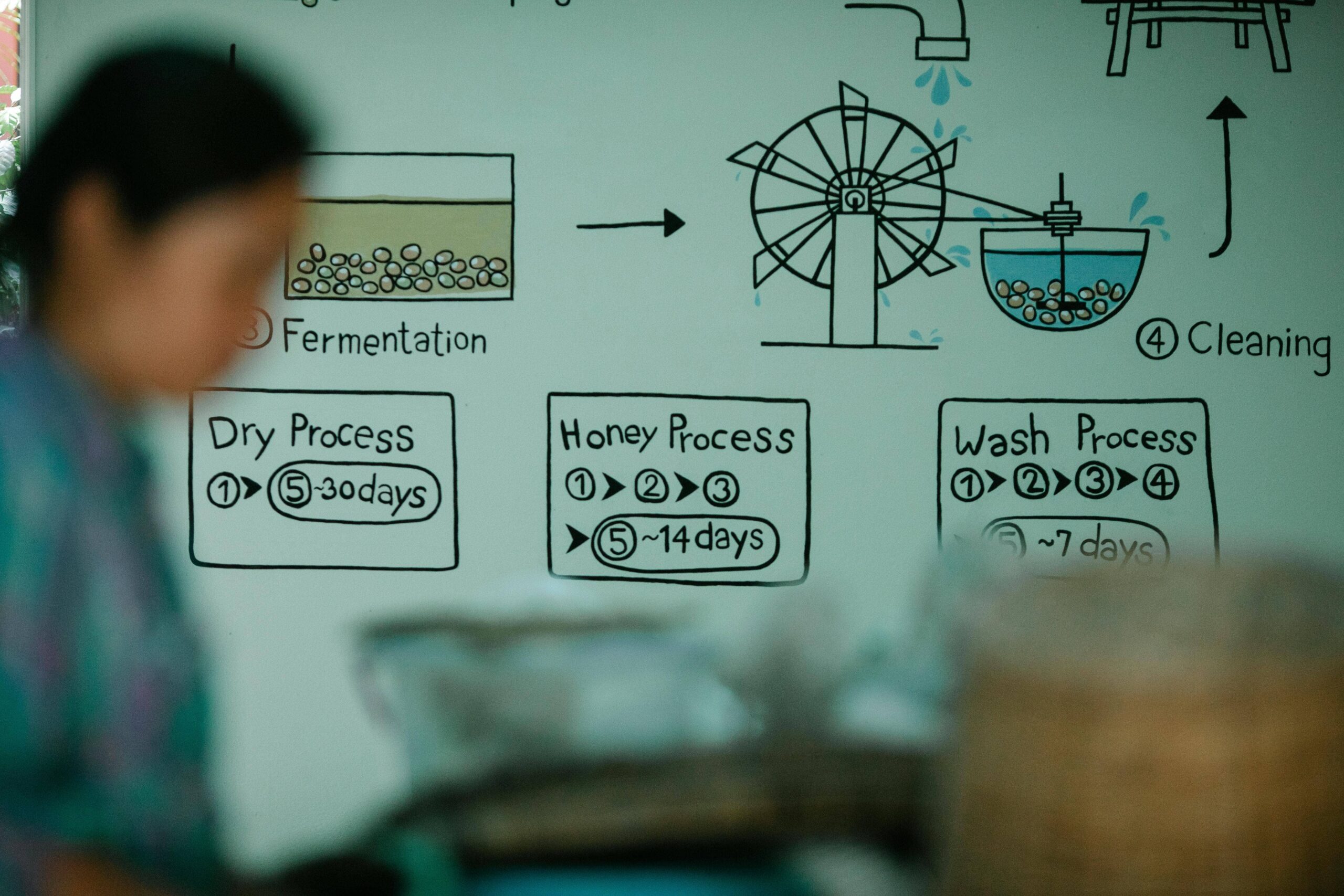 VIDEOS ANIMADOS - INFOGRAFIA